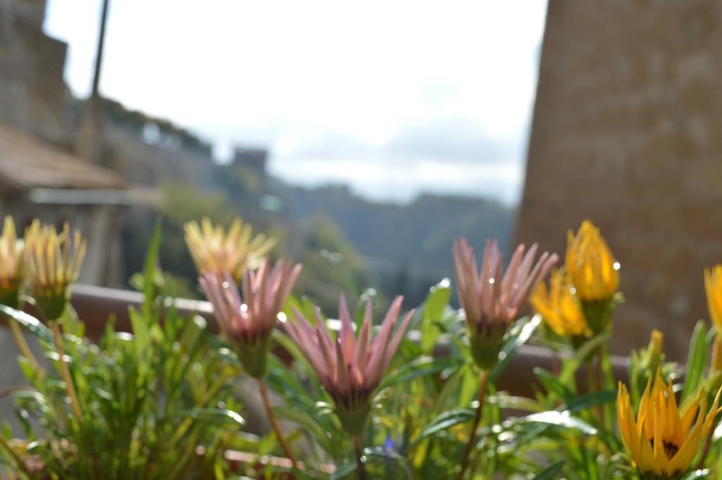 Casa Dei Lavatoi Pitigliano Leilighet Eksteriør bilde